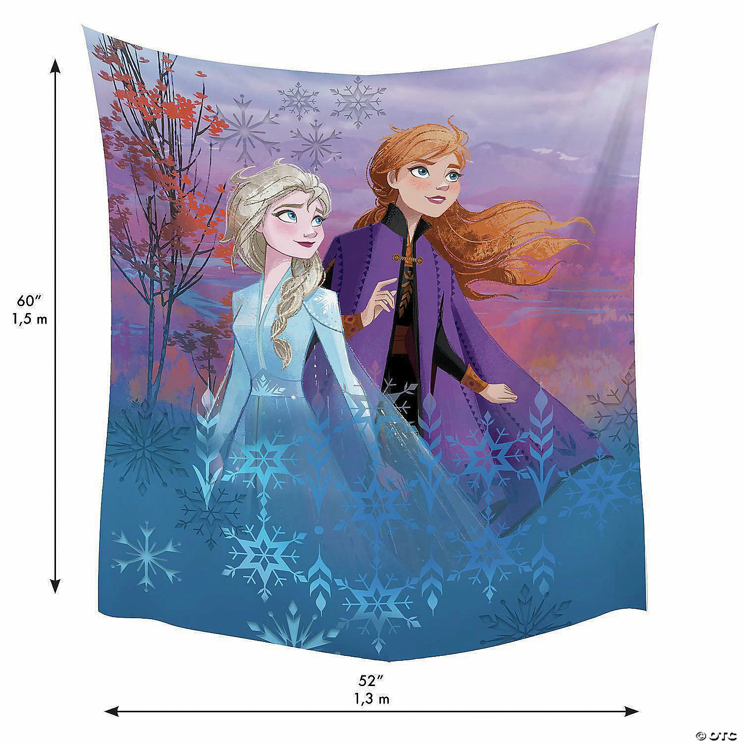 Cheap π― RoomMates Disney Frozen II Destiny Awaits Tapestry β€οΈ 5 Cheap π― RoomMates Disney Frozen II Destiny Awaits Tapestry β€οΈ - Image 3